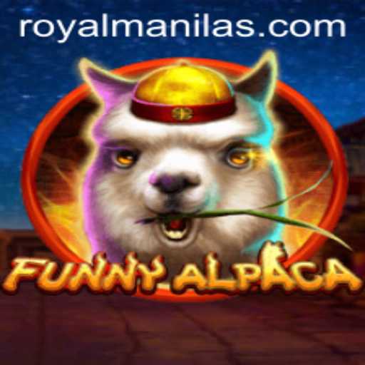 Exploring the Delightful World of FunnyAlpaca